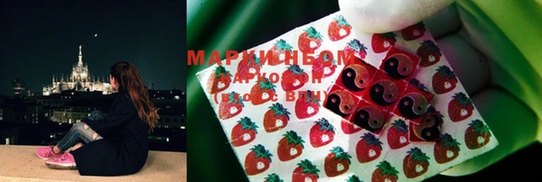 PSILOCYBIN Яровое